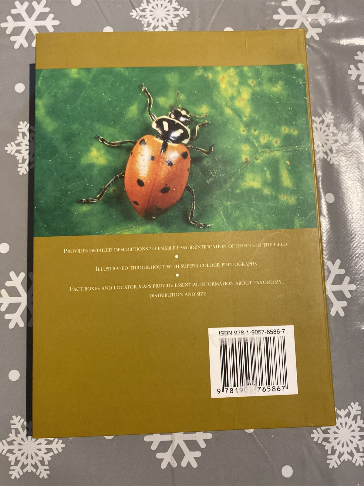 A Concise Guide to Insects, Hook, Patrick