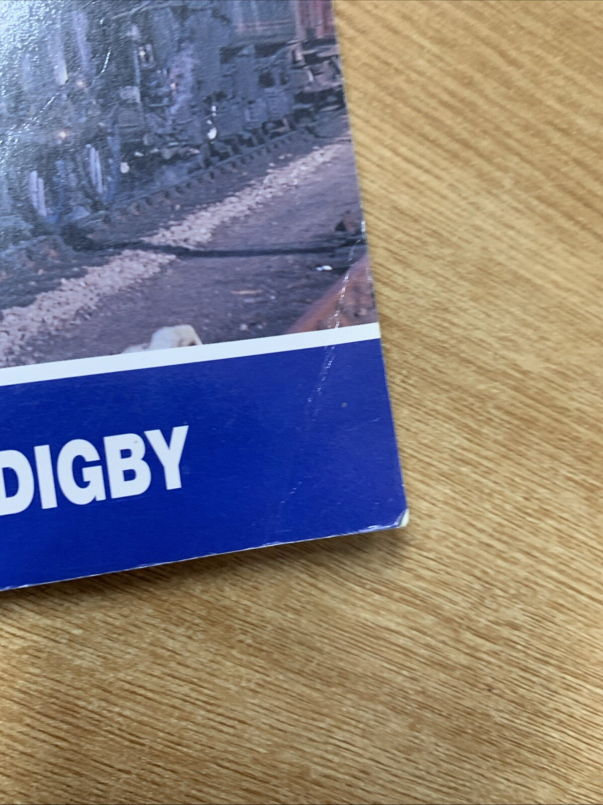 East Anglia by Nigel J. L. Digby (Paperback, 1995)