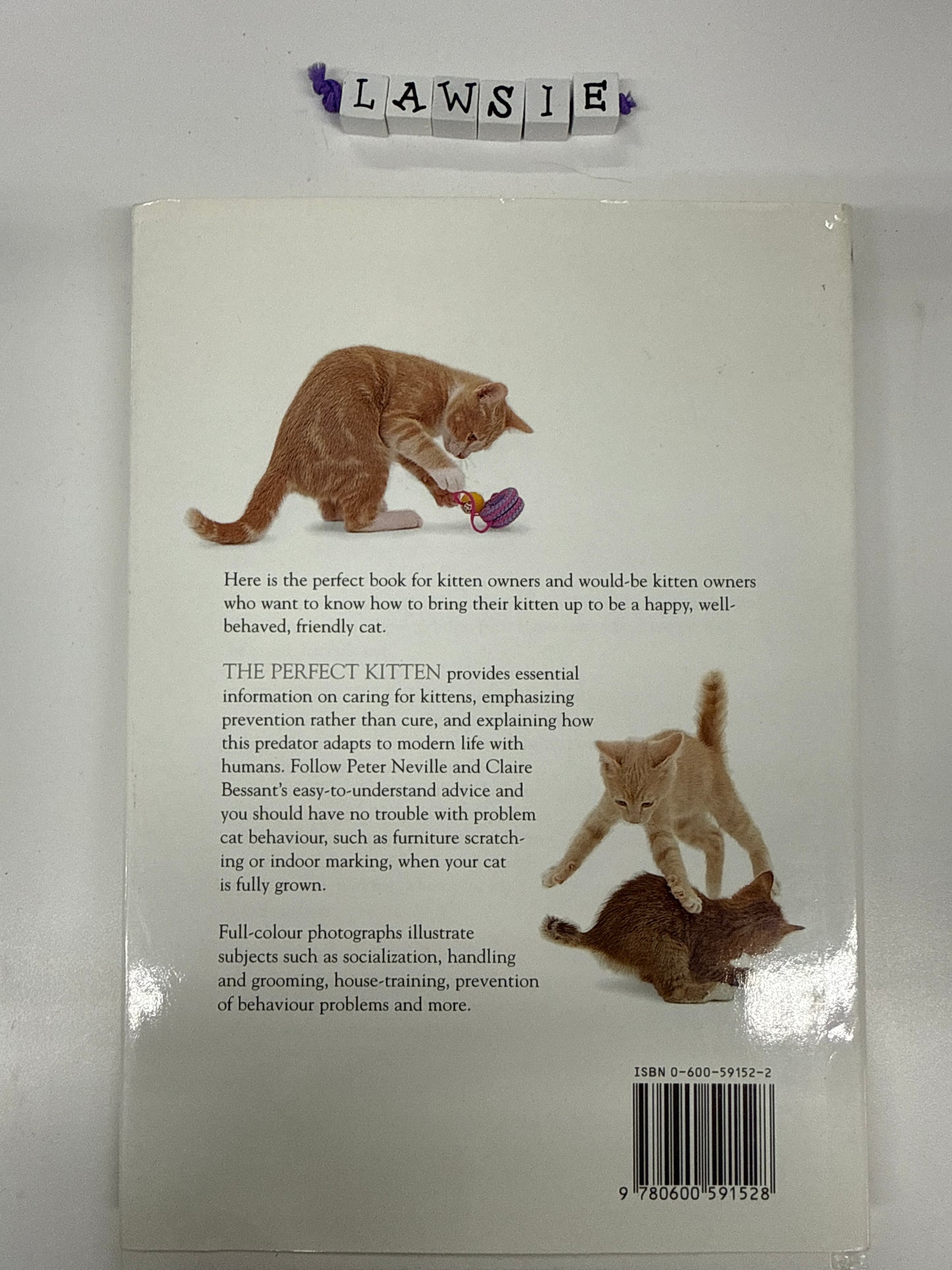 The perfect kitten by Peter Neville & Claire Bessant