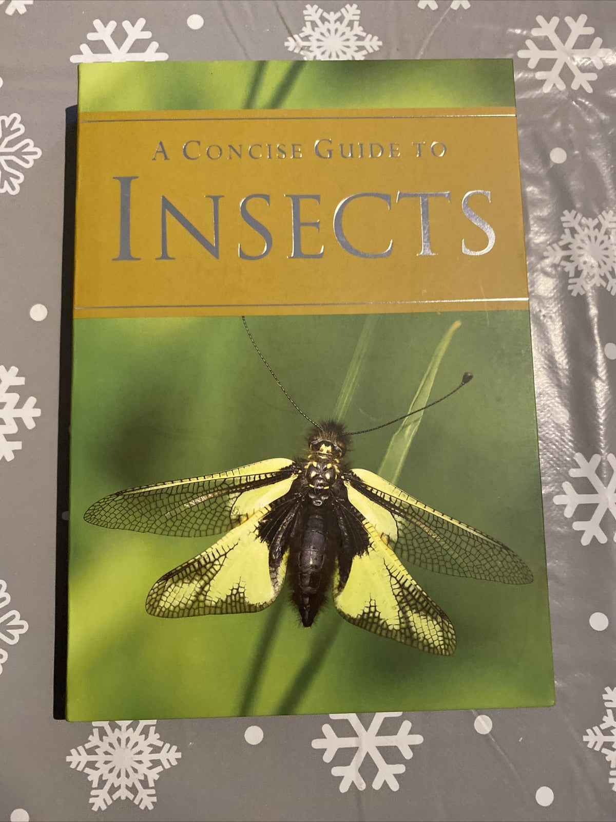 A Concise Guide to Insects, Hook, Patrick